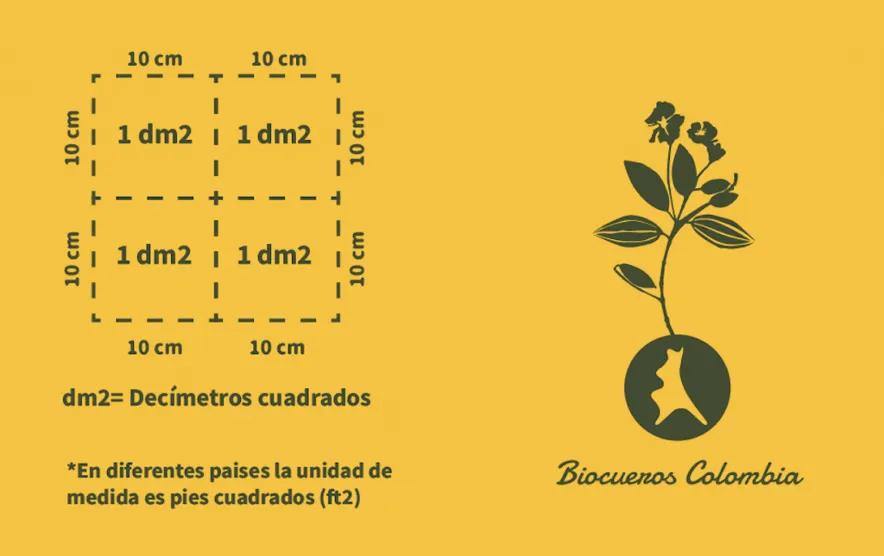 Cómo se mide la piel para el calzado - Cuánto es un decímetro de piel como se mide la piel para el calzado - Cuánto es un decímetro de piel