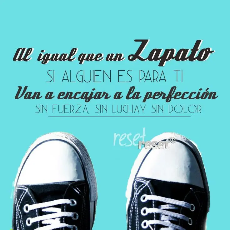Metáfora de una zapatilla: Explorando la estructura interna - Es el zapato una metáfora metafora de una zapatilla - Es el zapato una metáfora