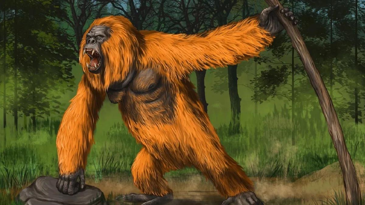 <b>King Kong: El Gorila que Masticaba un Zapato</b> - Quién era King Kong en la vida real king kong gorila masticando un zapato - Quién era King Kong en la vida real